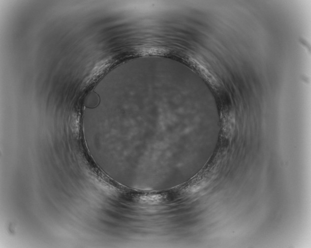 X0000093490357200710261121