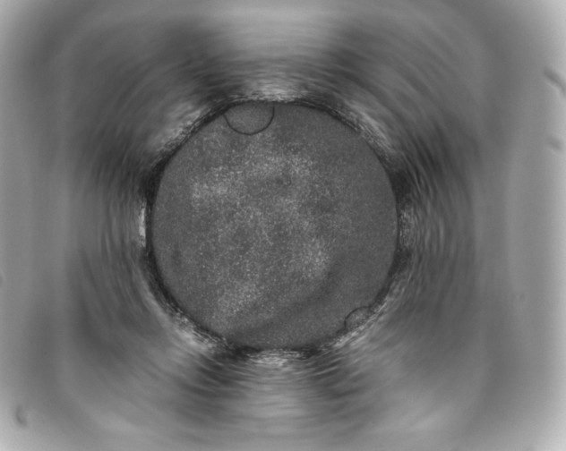 X0000093490358200710261121