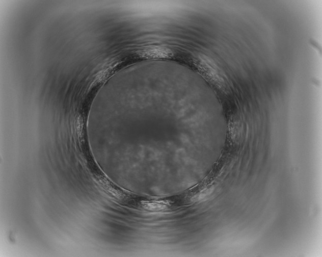 X0000093490359200710261121