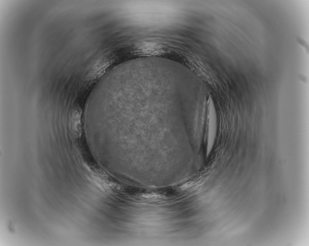 X0000093490360200710261121