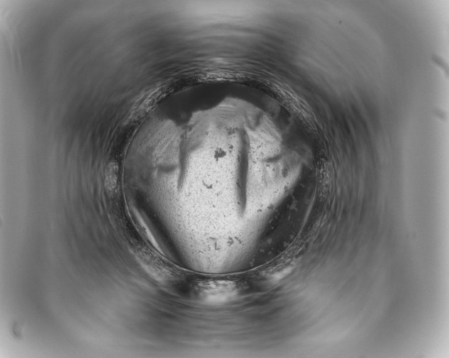 X0000093490361200710261121