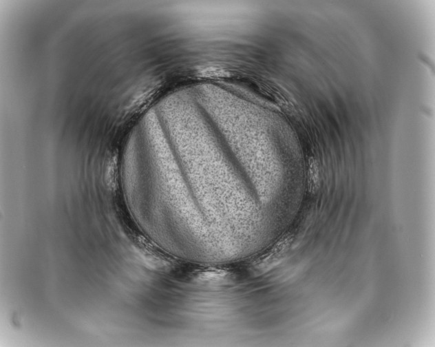 X0000093490364200710261121