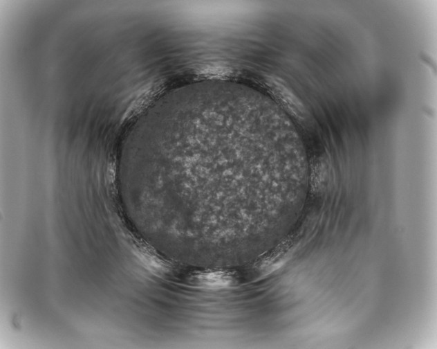 X0000093490365200710261121