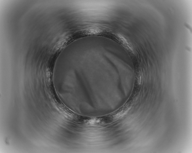 X0000093490366200710261121