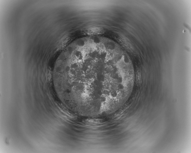 X0000093490367200710261121