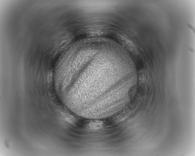 X0000093490369200710261121