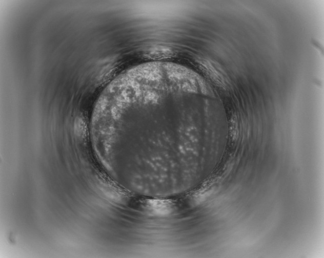 X0000093490371200710261121