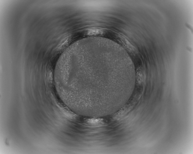 X0000093490375200710261121