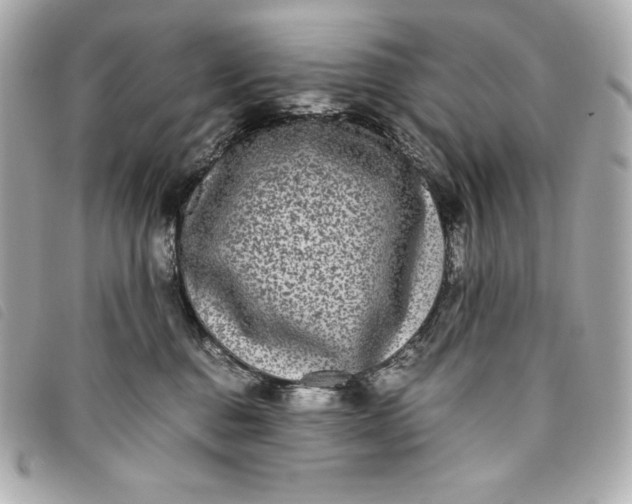 X0000093490376200710261122