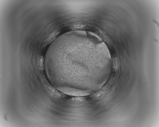 X0000093490378200710261122