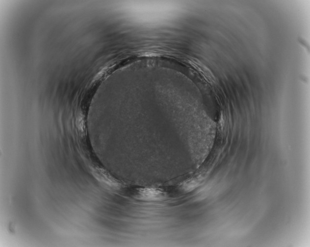 X0000093490380200710261122