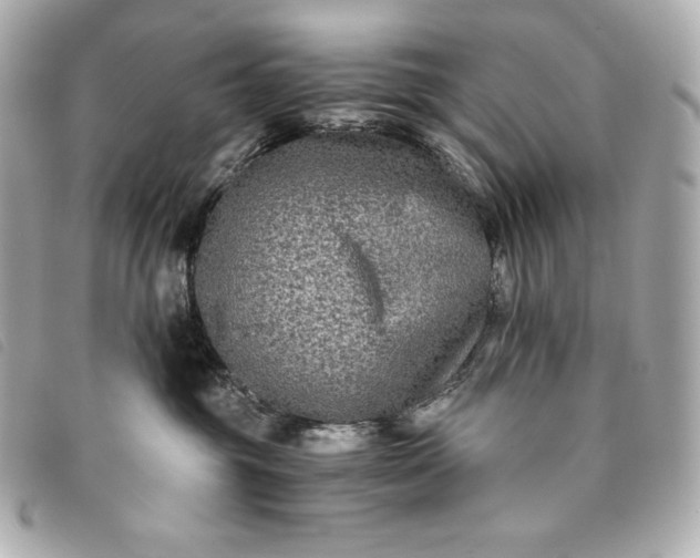 X0000093490381200710261122