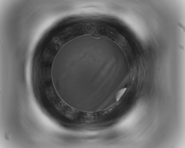 X0000093490383200710261122