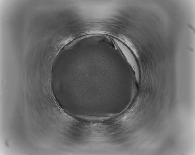 X0000093490385200710261121