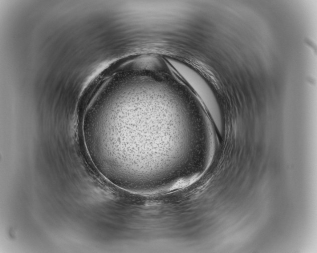 X0000093490388200710261121