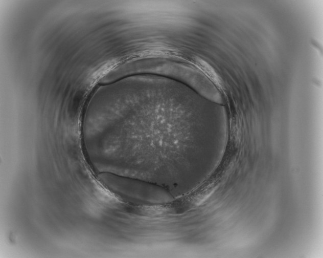 X0000093490389200710261121