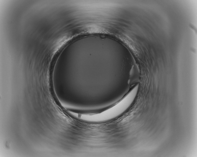 X0000093490391200710261121