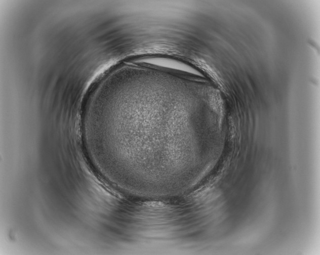 X0000093490392200710261121