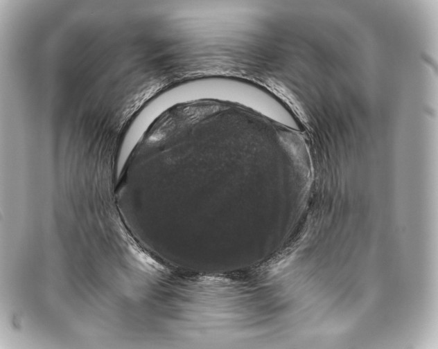 X0000093490393200710261121