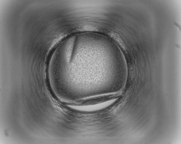 X0000093490395200710261121