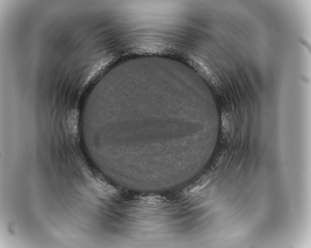 X0000093490396200710261121