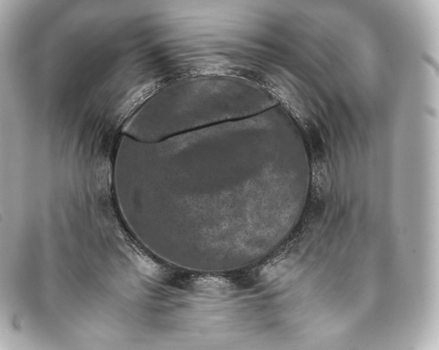 X0000093490397200710261121