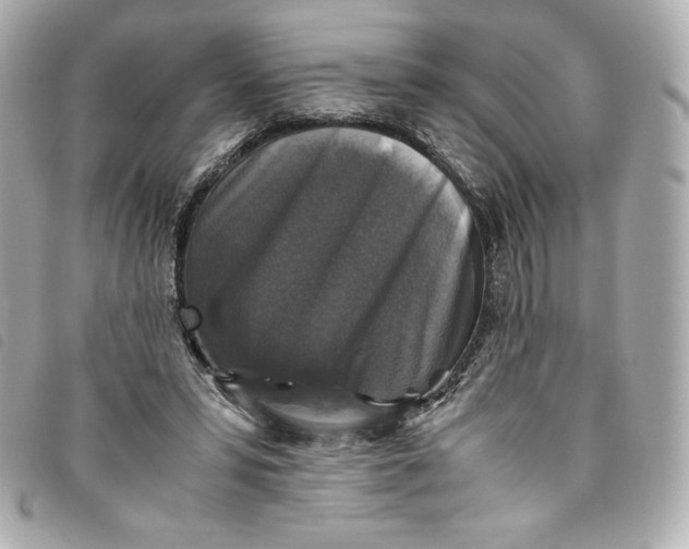 X0000093490399200710261121