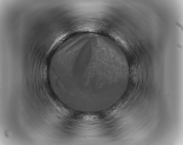 X0000093490400200710261121