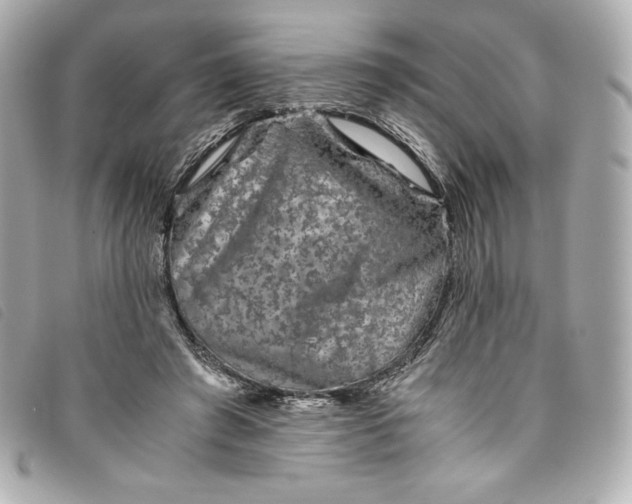 X0000093490401200710261121