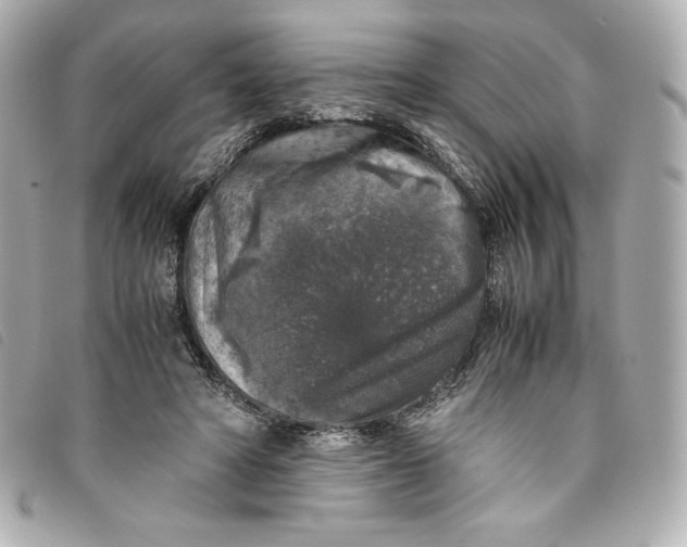 X0000093490402200710261121