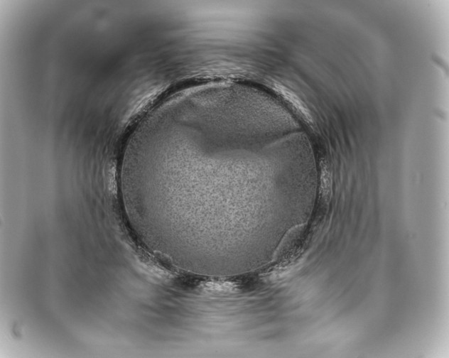 X0000093490403200710261121