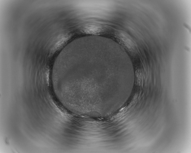 X0000093490404200710261121