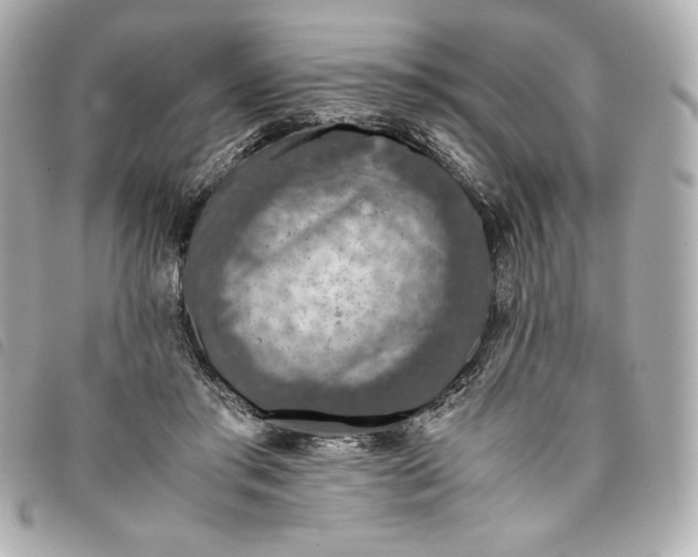 X0000093490405200710261121