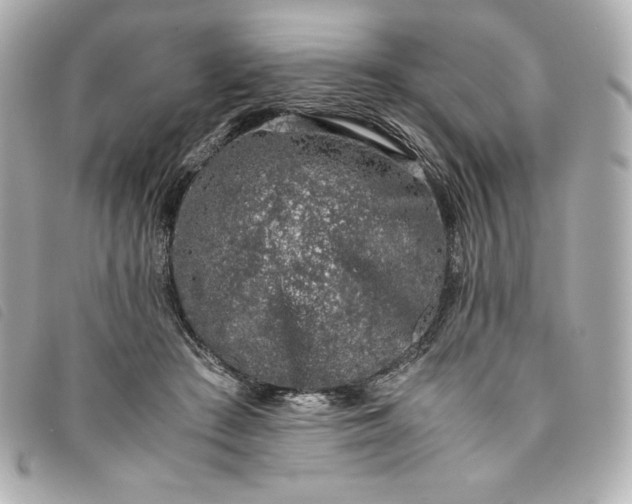 X0000093490409200710261121