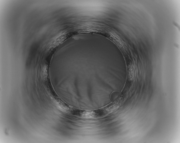 X0000093490410200710261121