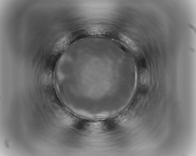 X0000093490411200710261121