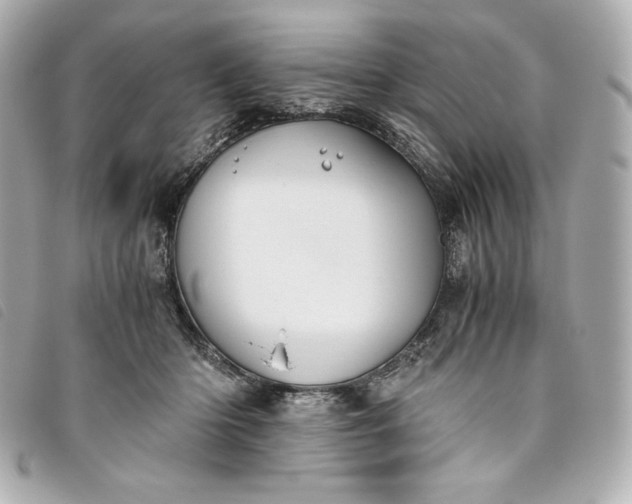 X0000093490414200710261121