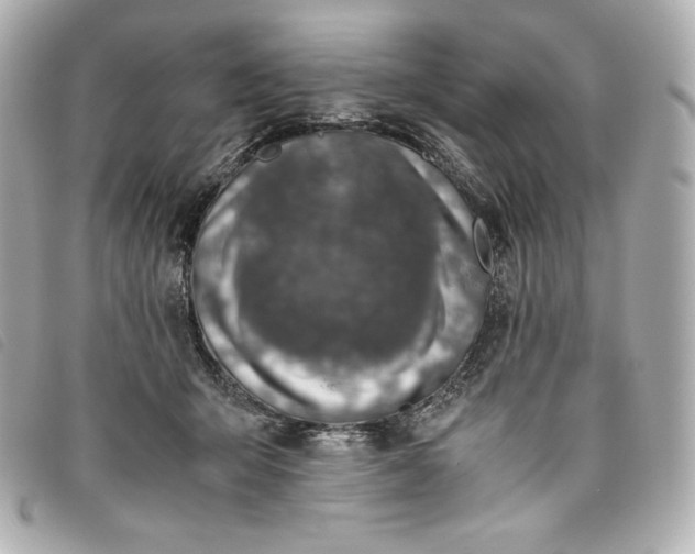 X0000093490415200710261121