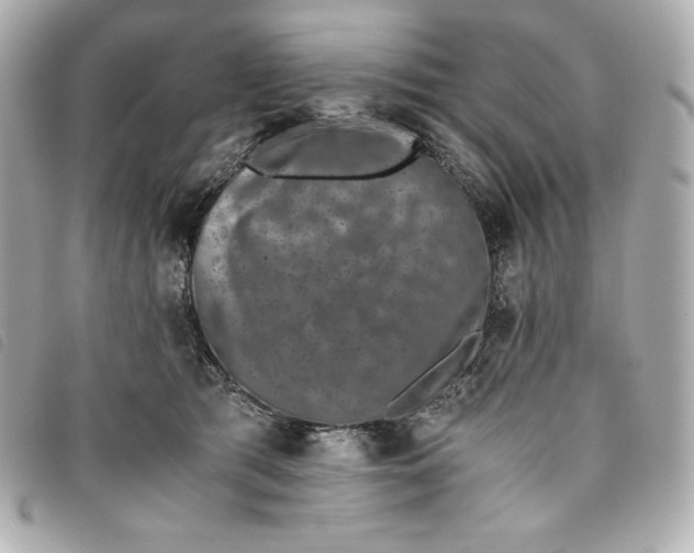 X0000093490417200710261121