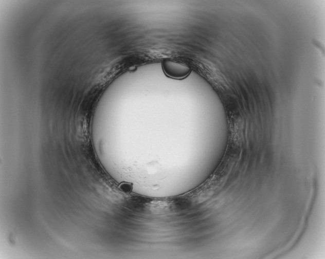 X0000093490418200710261121