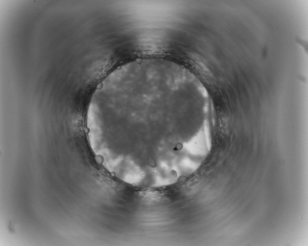 X0000093490419200710261121