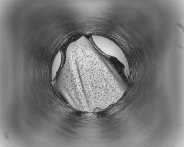 X0000093490421200710261121