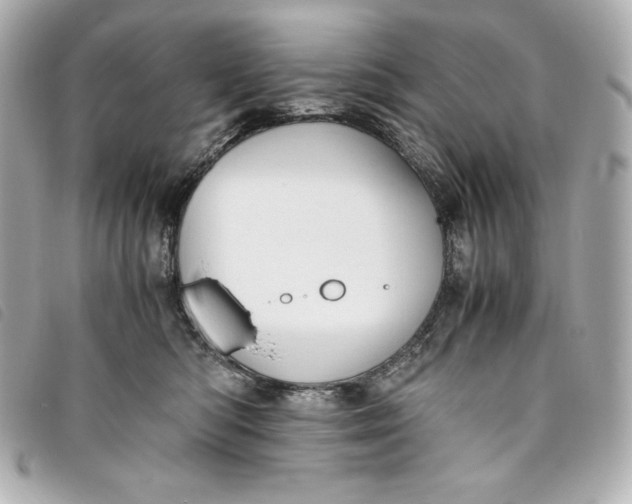 X0000093490422200710261121