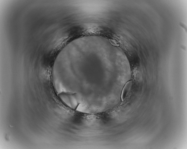 X0000093490423200710261121