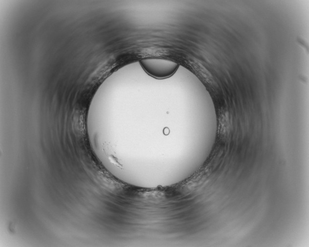 X0000093490426200710261121