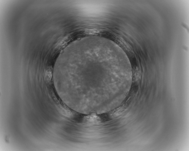 X0000093490427200710261121