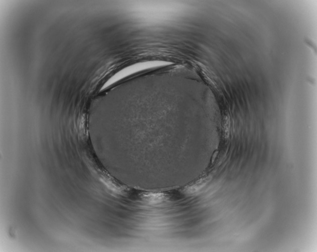 X0000093490428200710261120