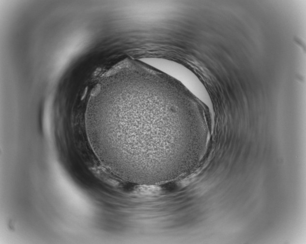 X0000093490429200710261120