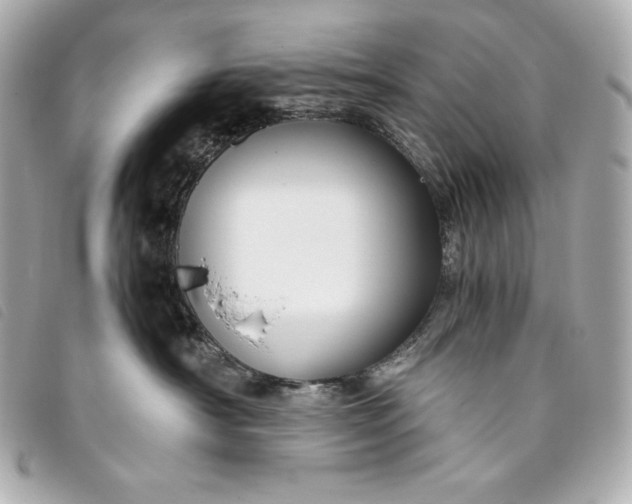 X0000093490430200710261120