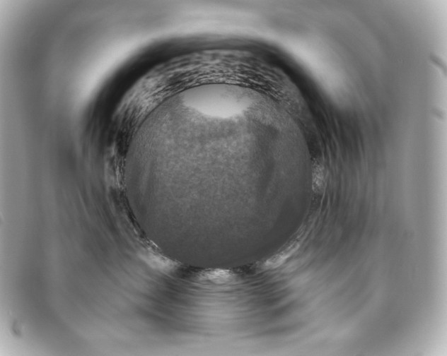 X0000093490431200710261120